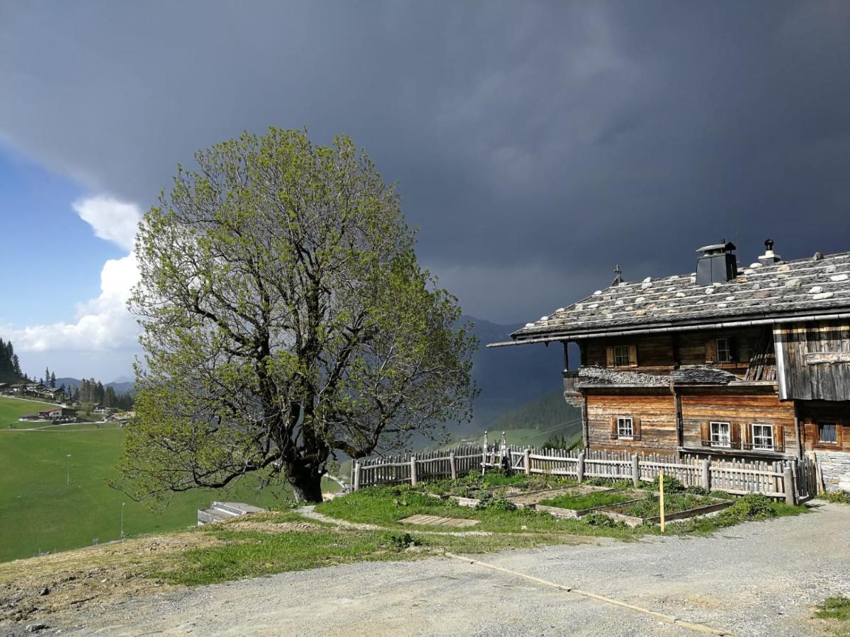 Appartements Alpenblick Soell Exterior photo